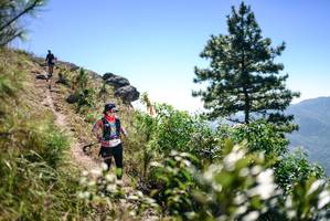 BIB: 
                            <button type="button" onclick="openModal(26608451)" class="btn btn-primary btn-sm float-right btn-popup" data-toggle="modal" data-target=".modal-high-quality">
                        <i class="fas fa-shopping-cart"></i> Add to Cart
                    </button>
                                            <button type="button" onclick="isThisMe(26608451, true)" class="btn btn-success btn-sm float-right btn-popup btn-isme hidden" data-toggle="tooltip" data-placement="bottom" title="นี่คือรูปของคุณใช่ไหม คลิกที่นี่เพื่อเอาเข้าอัลบั้ม">
                        <i class="fas fa-plus"></i> Add to album
                    </button>
                    <button type="button" onclick="isThisMe(26608451, false)" class="btn btn-warning btn-sm float-right btn-popup btn-isnotme hidden">
                        <i class="fas fa-ban"></i> Remove from album
                    </button>